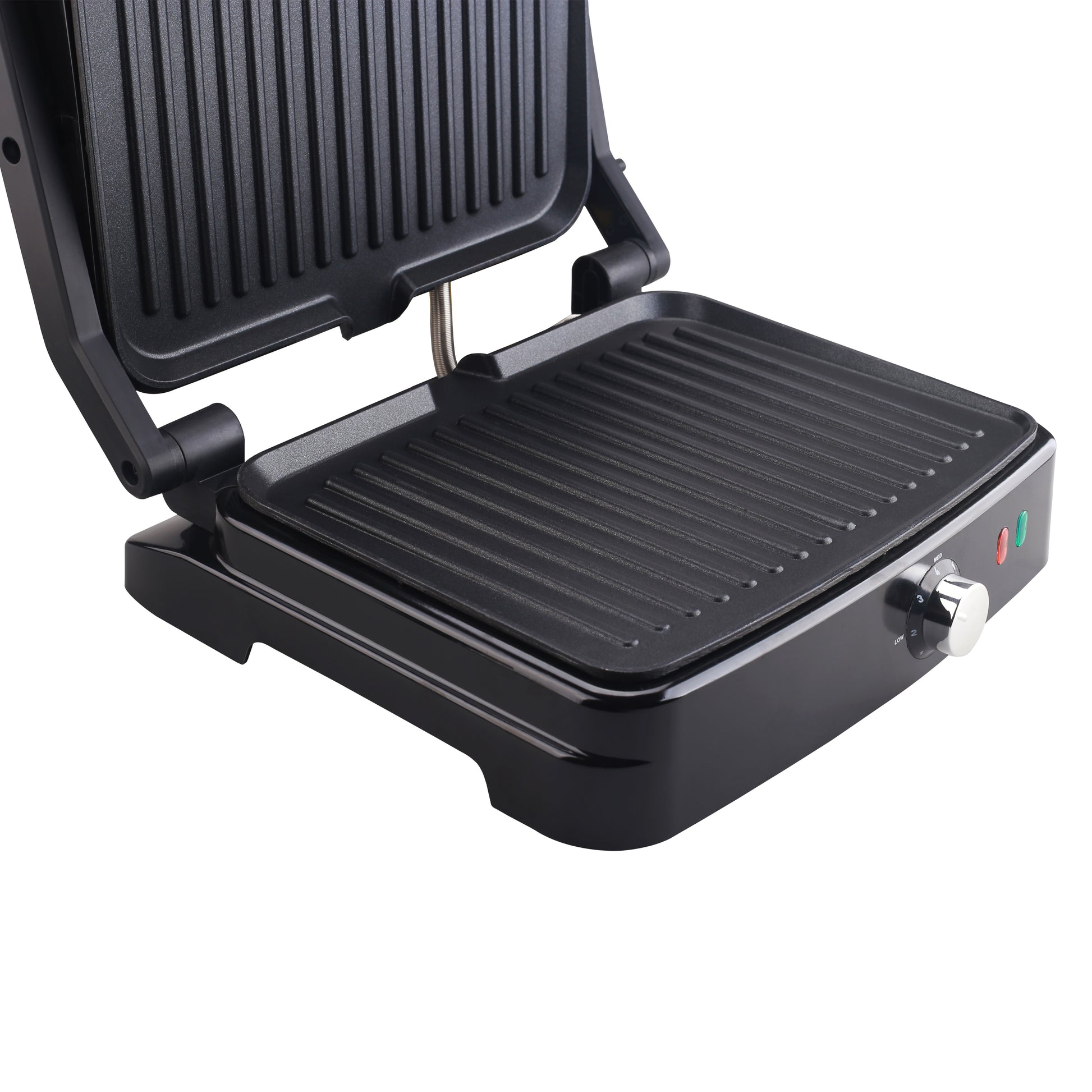 Panini